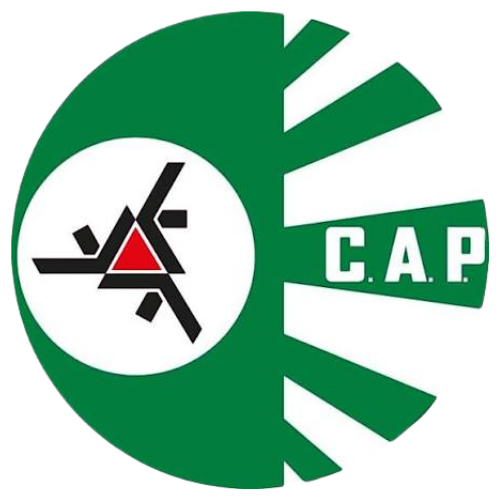Colégio de Aplicação Pedagógica - CAP